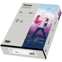 Inapa Kopierpapier colors grau DIN A3 80 g/qm 500 Blatt