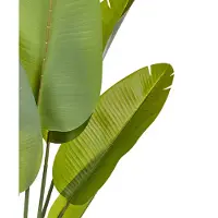Beliani Banana Tree