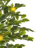 Beliani Lemon Tree