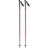 SCOTT Herren Alpin-Skistock SCO Pole SEA