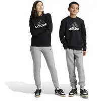 Adidas Essentials Big Logo Fleece Jogger Set