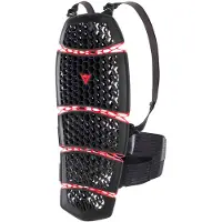 Dainese Pro-Armor 2.0 Back Protector Short