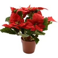 Décoris Poinsettia Seide Topf d16h27 cm Weihnachten rot (rood)