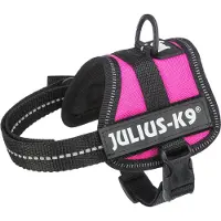 Julius-K9 Powergeschirr fuchsia, Größe: 3XS/Baby 1