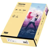 Inapa Multifunktionspapier colors, A4, 80 g/qm, chamois blanko, für Inkjet-, Laserdrucker, Kopierer