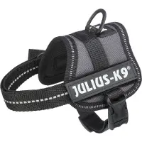 Julius-K9 Powergeschirr anthrazit, Größe: 3XS/Baby 1