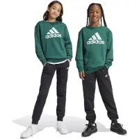 Adidas Kinder Sportanzug Essentials Big Logo Kids