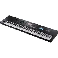 Roland Juno D-7 Portabler Synthesizer mit 76 Tasten