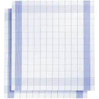 De Witte Lietaer Geschirrtuch Mixte Blue (2 Stück)
