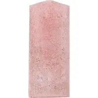 Schwegler Ersatzvorderwand für Baumläuferhöhle 2B