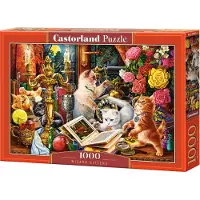 Castorland Puzzle Kätzchen Zauberer 1000 Teile