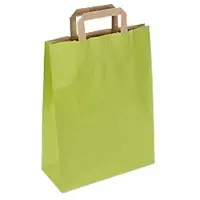RAJA Tragetasche Papier Grün 10 x 29 x 22 cm 50 Stück