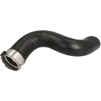 THERMOTEC DCR294TT Turbo Ladeluftschlauch für RENAULT MEGANE III Grandtour (KZ0/1) Scénic III (JZ0/1) GRAND SCÉNIC III (JZ0/1) Megane III Schrägheck