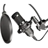 Noname Condenser Microphone On A Boom