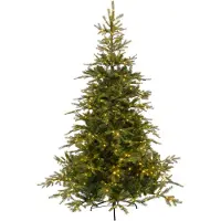 Everlands Grandis Fir Kunstweihnachtsbaum grun mit Beleuchtung H180 cm D132 cm (groen)
