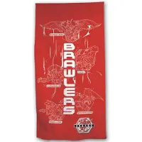 Bakugan AymaxJavoli Bakugan Badetuch Rot 70 x 140 cm Baumwolle