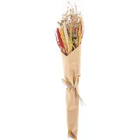 Beliani Trockenblumen rot / gelb 65 cm PAMPELUNA