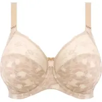 Elomi Nicht geformter BH Morgan | Grösse: 90I | Farbe: Powder/Print
