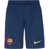 Nike Shorts FZ4691-410 für Herren
