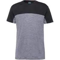 Icebreaker Merino 125 Cool-lite Sphere Iii Colour Block Kurzarm-t-shirt