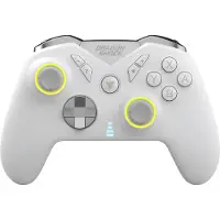 DragonShock Dscpnsw-wh Drahtloser Gamepad Für Nintendo Switch