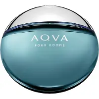 Bvlgari Aqva pour homme Eau de Toilette : 100ml Größe: 100ml