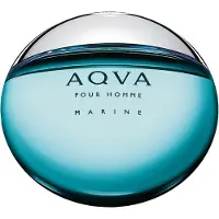 Bvlgari Aqva Marine Pour Homme Edt Spray 50 ml