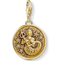 Thomas Sabo Charm-Anhänger Sternzeichen Wassermann