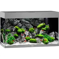 Juwel Rio 125 LED Aquarium Set grau