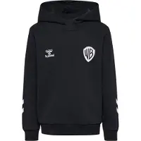 Hummel Kinder-Hoodie Celebrating Story
