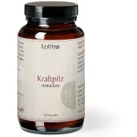 Erdling. Erdling BIO Kraftpilz Hericium 120 St Kapseln