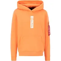 Alpha industries Alpha Puff Print Hoodie