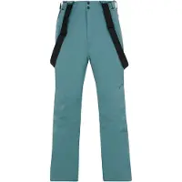 Protest Miikka Hosen Grün L / Short Mann Grün L