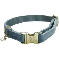 Kentucky Velvet Hundehalsband