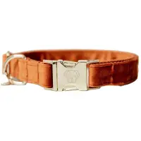 Kentucky Velvet Hundehalsband