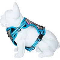 Freedog Boreal Hundegeschirr