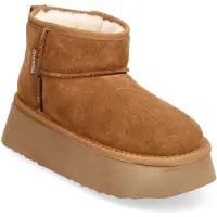 Steve madden Schneeschuhe Campfire SM11002737 Braun