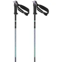 Salomon Polar Pro S3 Stöcke