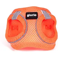 Big Buy Cooking Geschirr für Perro Gloria Trek Star 24-26 cm 28-28,6 cm Naranja XXS