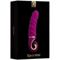 G-Vibe - Gjack Mini Lila Vibrator Aus Silikon 1 St