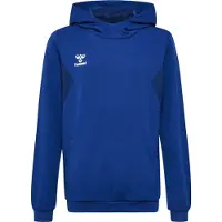 Hummel Authentic Pl Kapuzenpullover