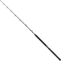 Penn Marine Brigade Trolling Baitcastrute