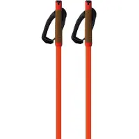 Fischer Storm Gtx M Stöcke
