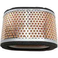 HiFlo Triumph Hfa6503 Luftfilter