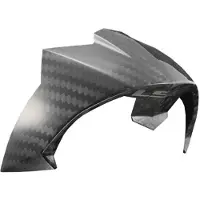 LS2 Ff805 Carbon Ece Helm-heckspoiler