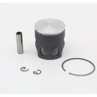 VERTEX Polini Bws D46.95 A 1 Seg Kolbenkit
