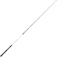 Renzo Valdieri Spot Bass Spinnrute