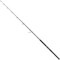 Penn Marine Brigade Offshore Spinnrute Silber 2.44 m / 100 g Silber 2.44 m