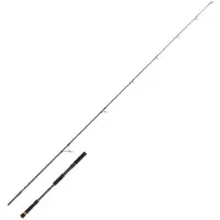 Cinnetic Rayforce Xbr Boat Casting Spinnrute