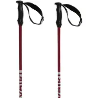Völkl Rentastick ALU Poles alu 125